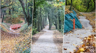 W Parku Wolsztyńskim we Wschowie powstaje rowerowy raj (FOTO)