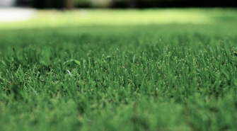 Dlaczego Zakup Robotów Koszących na Raty Może Być Dobrą Decyzją