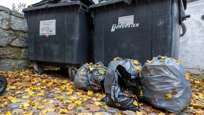 Harmonogram wywozu śmieci - Gmina Wschowa 2024 r.