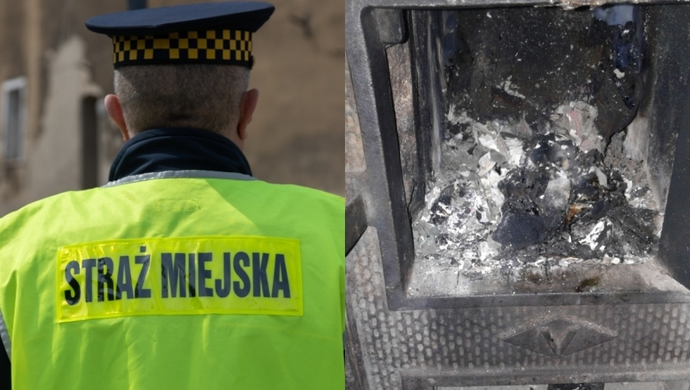 Truciciel ze Wschowy przyłapany. „W trakcie kontroli zaprzeczał”