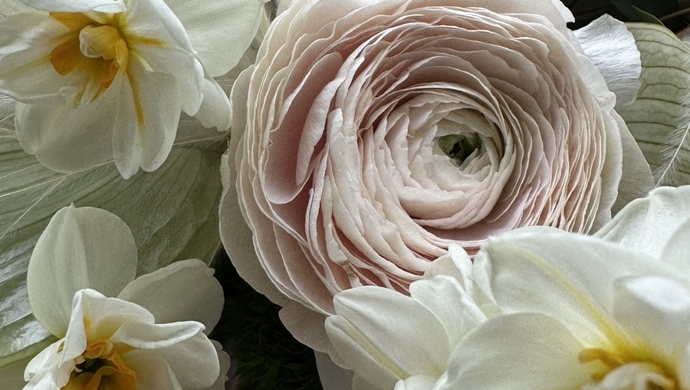 Dzień Kobiet we Wschowie. Warsztaty psychologiczne i muzyczne show! (ZAPOWIEDŹ)