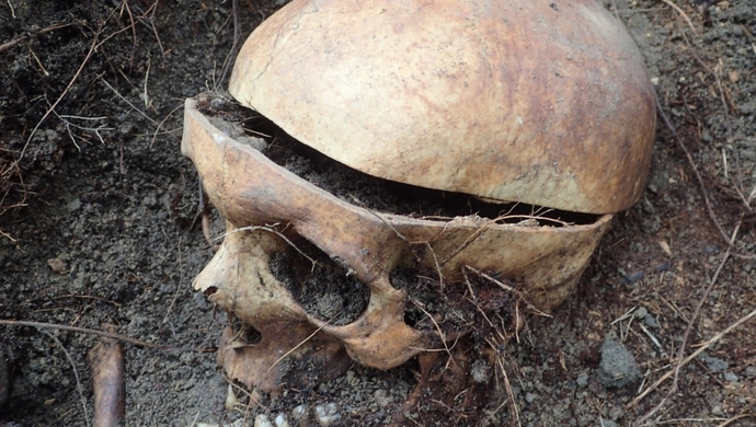 Na cmentarzu parafialnym we Wschowie doszło do ekshumacji. „Na ich kościach zarejestrowaliśmy obrażenia”  