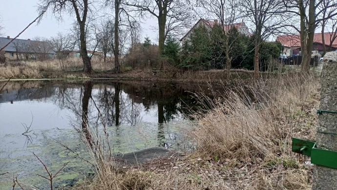 Staw w Goli zostanie wyczyszczony. Właśnie podpisano umowę (FOTO)