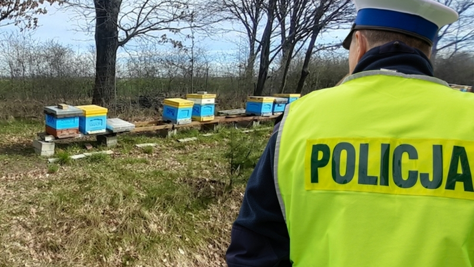 W okolicy Wschowy ujawniono kradzież rodzin pszczelich. Sprawą zajmuje się policja