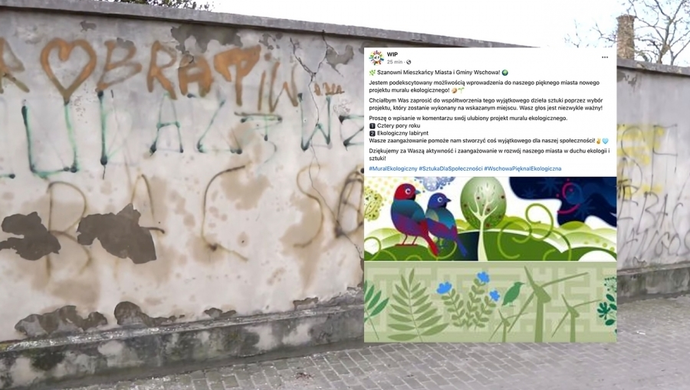 Wybierz projekt, który ozdobi miasto. Trwa głosowanie na nowy mural we Wschowie