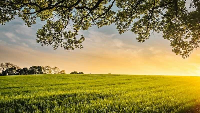 Wyzwania i rozwiązania dla rolnictwa w obliczu zmian klimatycznych