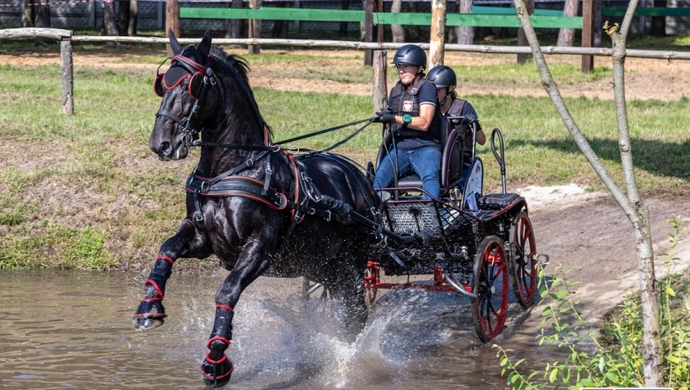 Będzie się działo na Ranczo Rubin. W majówkę odbywają się zawody jeździeckie