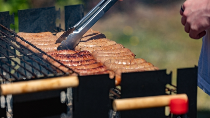 Planujesz grilla w Parku Wolsztyńskim na majówkę? Oto, co musisz wiedzieć