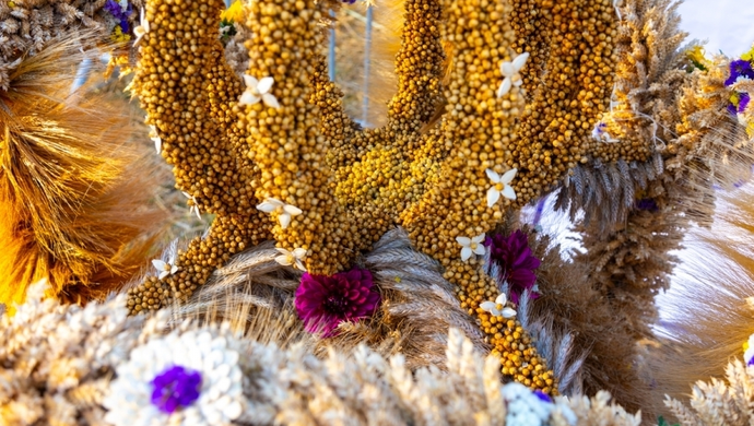 Rozstrzygnięto konkurs na najpiękniejszy wieniec dożynkowy w gminie Szlichtyngowa