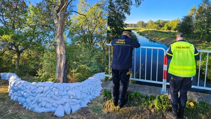 Sytuacja w Gminie Wschowa pod kontrolą. Burmistrz: „Działamy prewencyjnie”