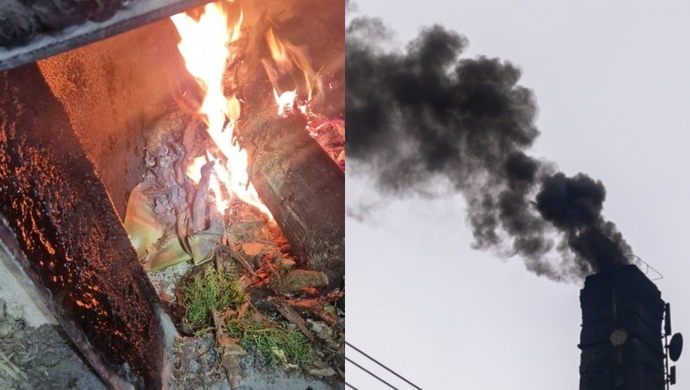 Truciciel przyłapany i ukarany. Straż Miejska zapowiada kolejne kontrole