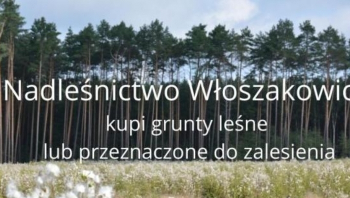 Nadleśnictwo Włoszakowice kupi grunty pod zalesienie