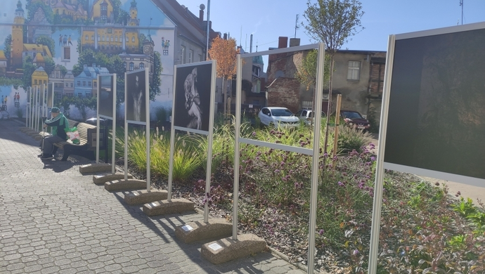 Fotografia zniknęła ze skweru. Kto ukradł zdjęcie Śliwińskiego?