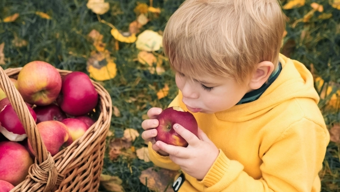 Jesienne owoce i warzywa, które dentysta dla dzieci poleca na zdrowe zęby