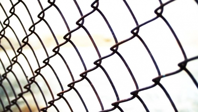 Słupki do siatki leśnej – idealne rozwiązanie dla solidnego ogrodzenia