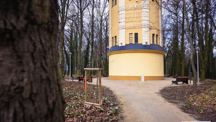 Minął rok od zakończenia rewitalizacji. W Parku Wolsztyńskim posadzono nowe drzewa