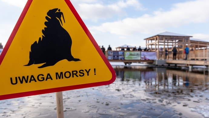 Wielkie morsowanie w Lginiu. Zlot już w styczniu