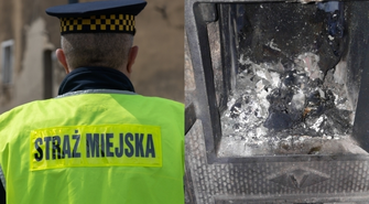 Truciciel ze Wschowy przyłapany. „W trakcie kontroli zaprzeczał”