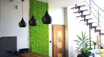 Mech chrobotek do łazienki — naturalny pochłaniacz wilgoci!