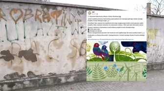 Wybierz projekt, który ozdobi miasto. Trwa głosowanie na nowy mural we Wschowie