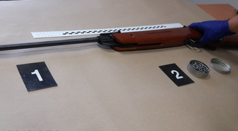 Strzelał do kotów z wiatrówki. 72-latek usłyszał zarzuty