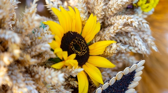 Dożynki Gminne w Goli. Jaki jest program wydarzenia?