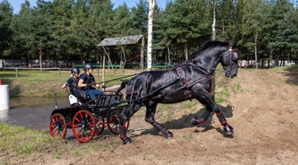 Mistrzostwa Polski Amatorów w Powożeniu. Ranczo Rubin zaprasza na emocjonujące zawody