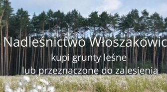 Nadleśnictwo Włoszakowice kupi grunty pod zalesienie