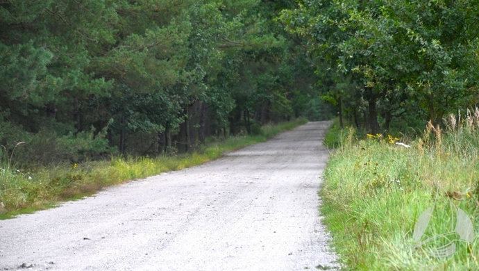 Przebudowa drogi Kuźnica Głogowska – Myszyniec. Dwa dni całkowitego zamknięcia