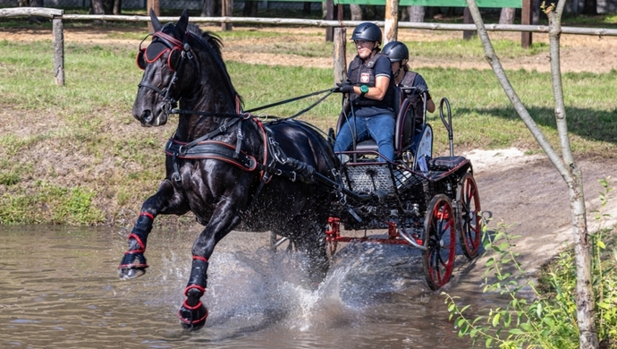 Mistrzostwa Polski w powożeniu zaprzęgami. Andrzej Rosiewicz zaśpiewa w sobotni wieczór