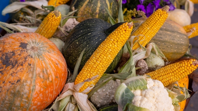 Konkurs na najpiękniejszą zagrodę dożynkową w Zamysłowie. Zgłoszenia tylko do 27 sierpnia