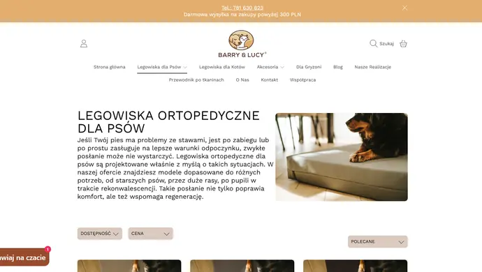 Dlaczego niektóre psy szybciej regenerują się na materacach ortopedycznych? Biomechaniczne wyjaśnienie
