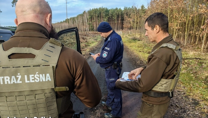 Skąd pochodzi twoja choinka? Policja i Straż Leśna ruszyli na kontrole w lasach