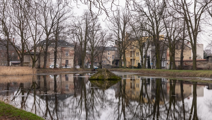 Stawy w Parku Tysiąclecia czeka metamorfoza. Gmina Wschowa złożyła wniosek o dofinansowanie