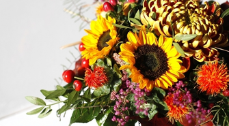 Złote światło jesieni – jak stworzyć wnętrze pełne ciepła i charakteru