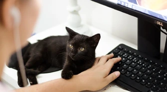 Jak zbudować stanowisko komputerowe sprzyjające wygodnej pracy?