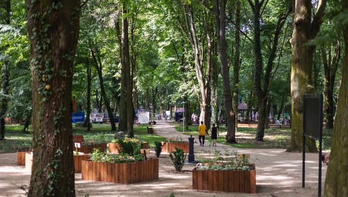 Park Wolsztyński znów otwarty, ale warunkowo. Wycinka ruszy w poniedziałek