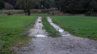 Tłuczeń na polne drogi. Gmina Wschowa wnioskuje o dofinansowania