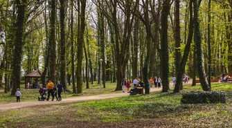 Wielkanocne Poszukiwanie Jajek w Parku Wolsztyńskim. CKiR zaprasza do zabawy całe rodziny