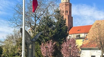 Zniknęły tuje, pojawiły się nowe nasadzenia. Tak zmieniło się otoczenie pomnika przy ul. Łaziennej [ZDJĘCIA]