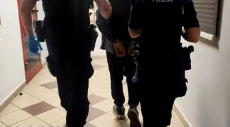 Uderzył kobietę w brzuch, bo poprosiła o bilet. Agresja w pociągu Leszno-Głogów