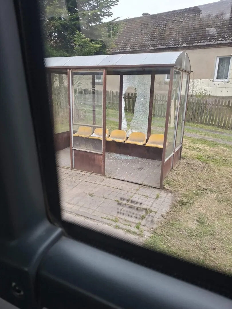 Wstyd młodzieży 🤮