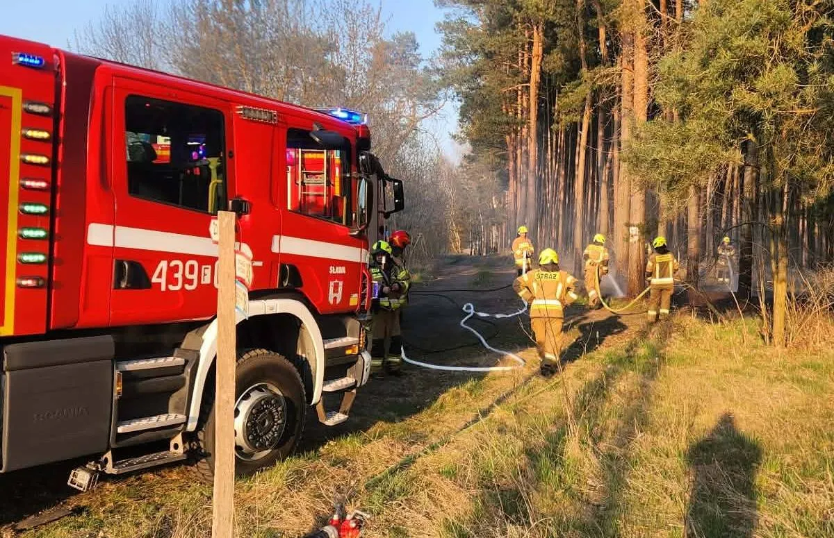 Pożar w gminie Sława (pomiędzy Lipinkami a Krzepielowem. Na miejscu PSP Wschowa, OSP Sława…