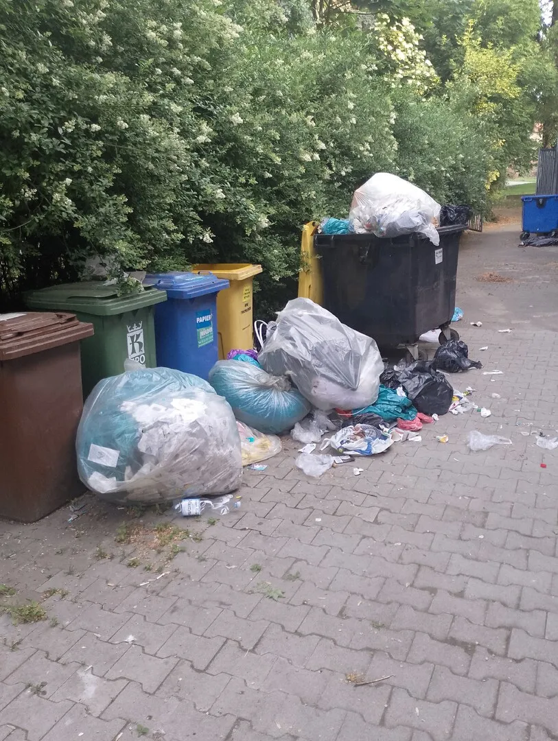 Syf wokół marketu na Moniuszki 8. Chodzę wieczorem z psem jest pełno szczurów wokół tych ś…
