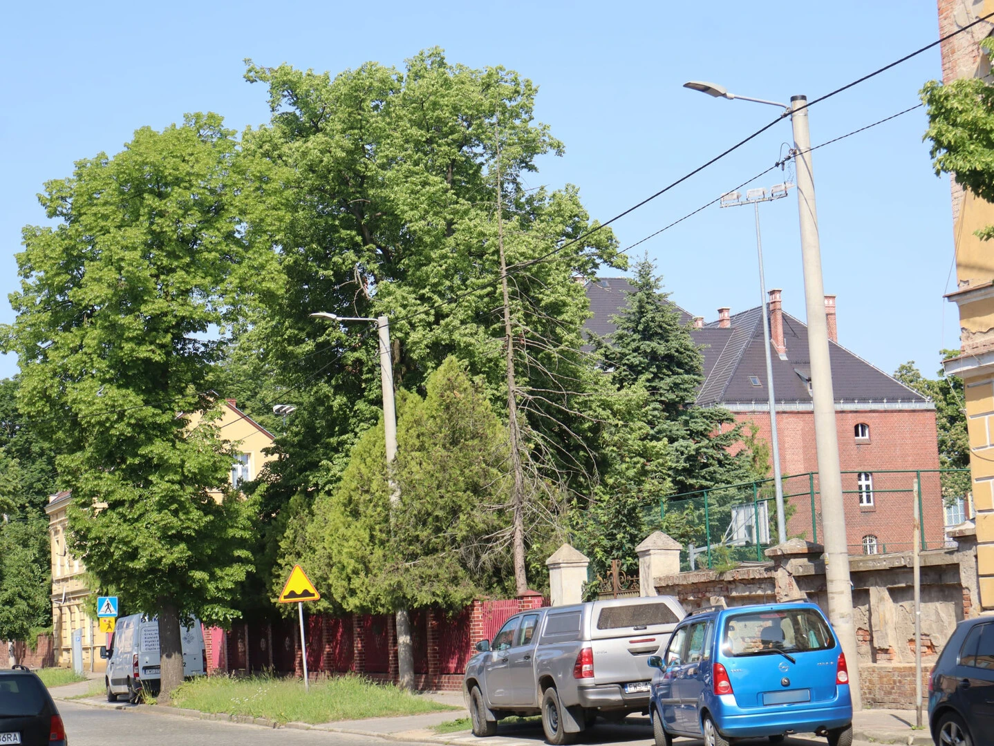 Zdjęcie jest z końca maja, ale do dziś stoi suchy pień drzewa w rogu boiska SP 2. Może od …