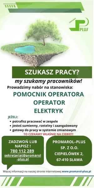 Pionowy