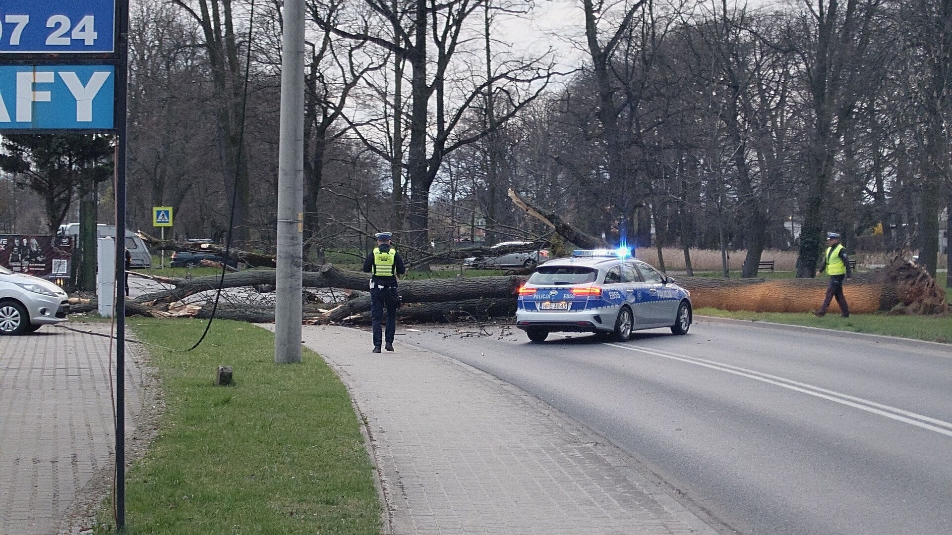 Przewrócone drzewo na ul. Obrońców Warszawy we Wschowie. Autor zdjęcia Adam Trzeciak (Hello Wschowa/Facebook) Na Obrońców Warszawy we Wschowie przewróciło się drzewo
